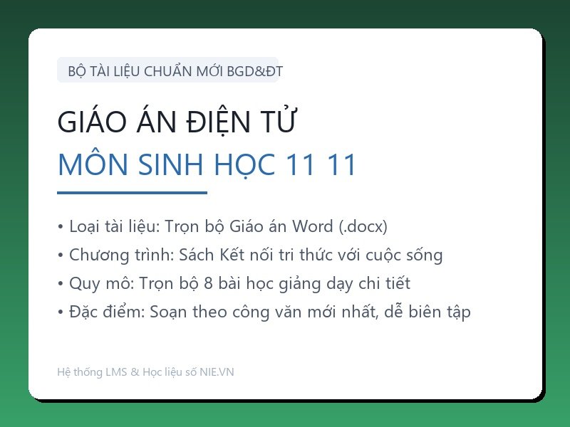 Trọn bộ Giáo án Sinh học 11 - Kết nối tri thức với cuộc sống (8 Bài Word)